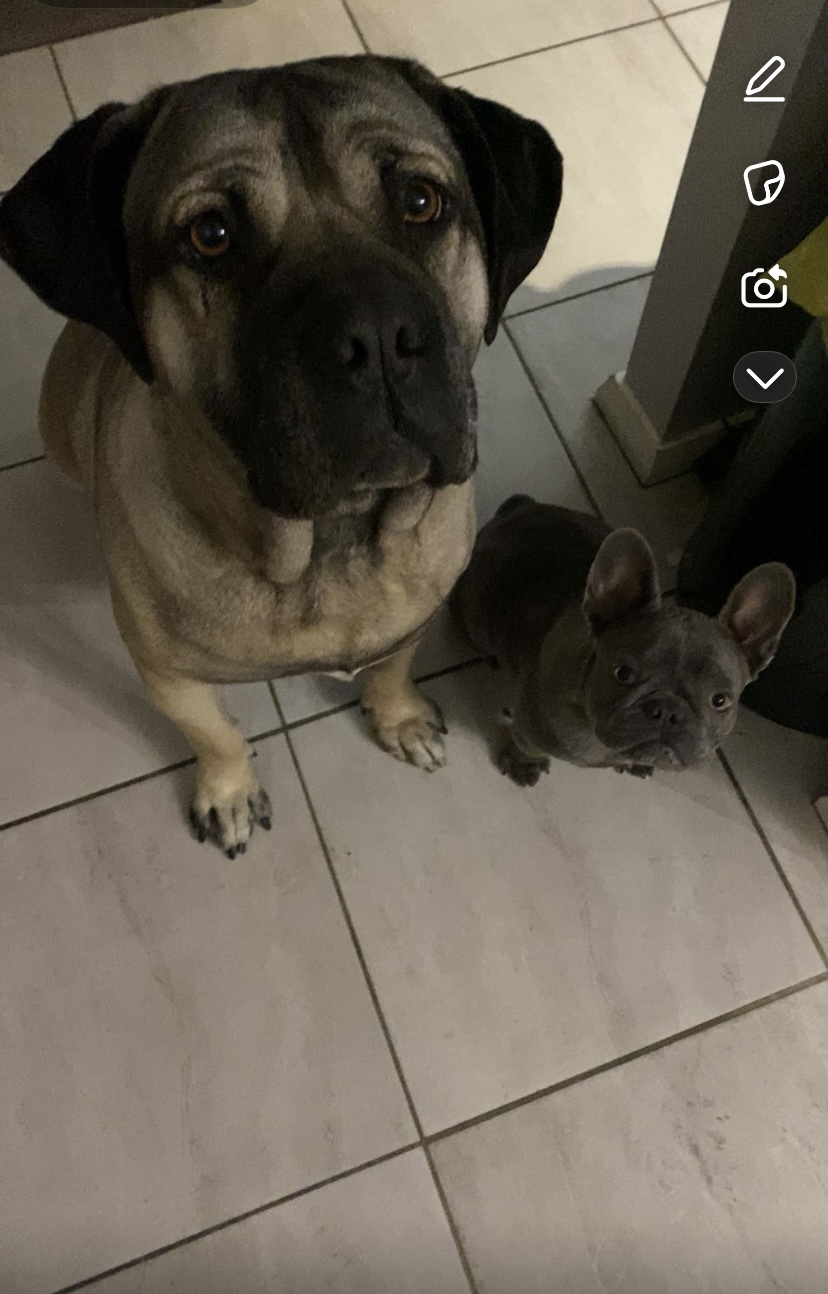 Diesel and Hope together